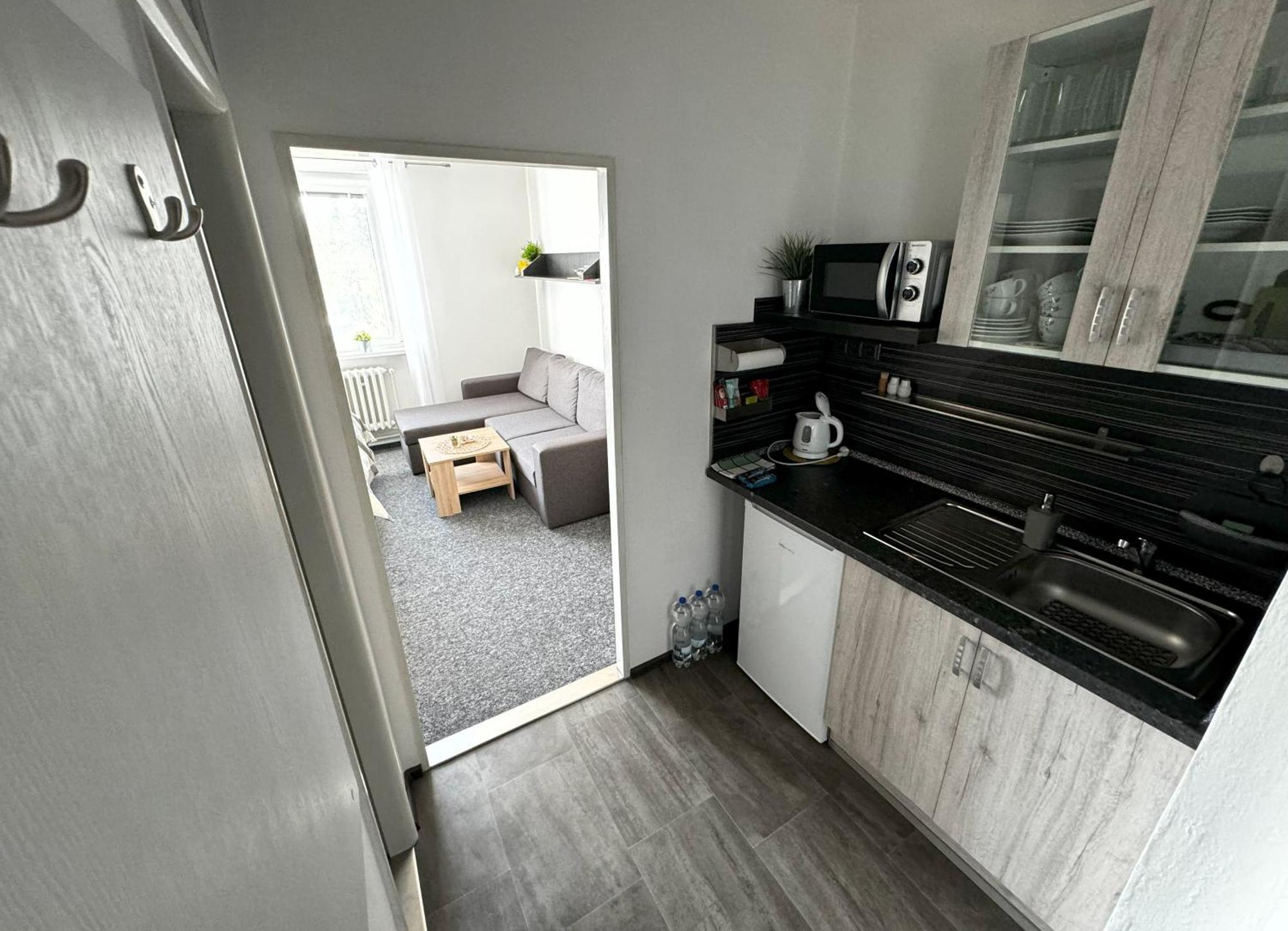 Apartmany カルロヴィ・ヴァリ エクステリア 写真
